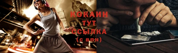 бошки Богородицк
