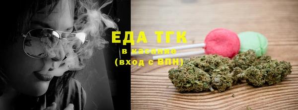 индика Богданович