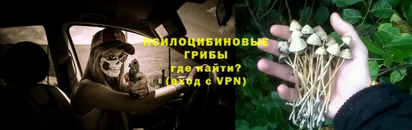 индика Богданович