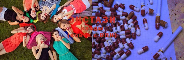 индика Богданович