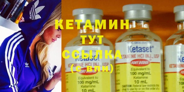 индика Богданович