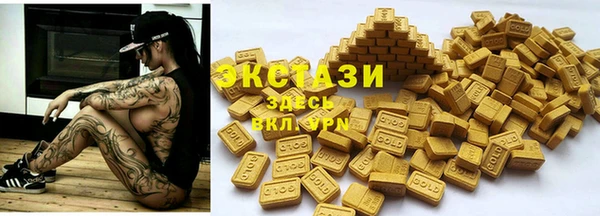 индика Богданович