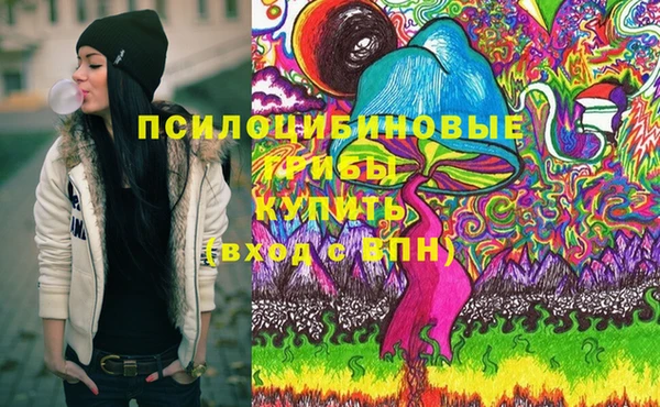 Альфа ПВП Бугульма