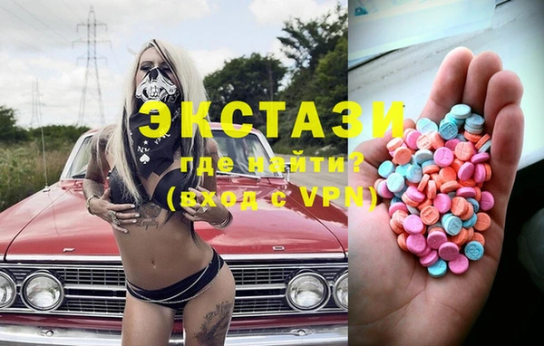 индика Богданович