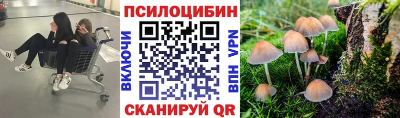 мега ссылки  Белоозёрский  Галлюциногенные грибы Magic Shrooms  магазин продажи наркотиков 